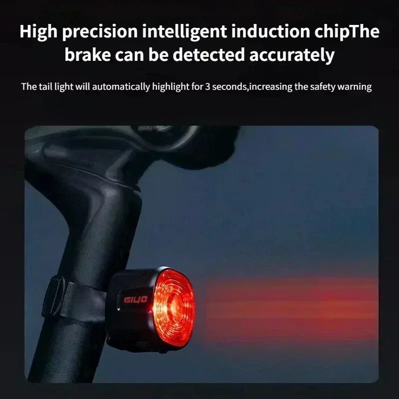 Bicycle Rear Light